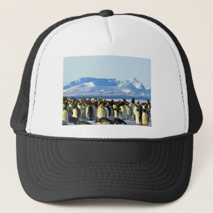 keizerpinguïns trucker pet