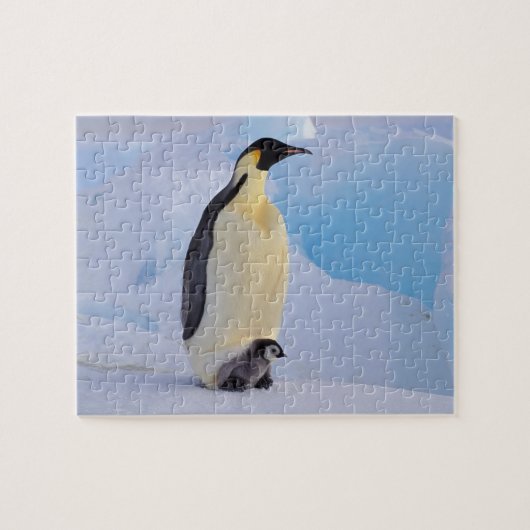 Keizerspinguïn | Aptenodytes Legpuzzel (Horizontaal)