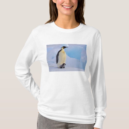 Keizerspinguïn | Aptenodytes T-shirt (Voorkant)