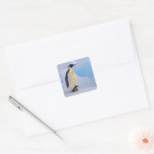 Keizerspinguïn | Aptenodytes Vierkante Sticker (Envelop)