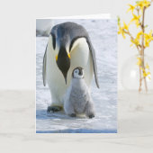 Keizerspinguïn met Kuiken - notitiekaart (Gele Bloem)
