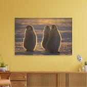 Keizerspinguïns Canvas Afdruk (Insitu (Woonkamer))