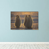 Keizerspinguïns Canvas Afdruk (Insitu (Houten vloer))