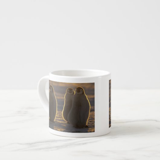 Keizerspinguïns Espresso Kop (Links)