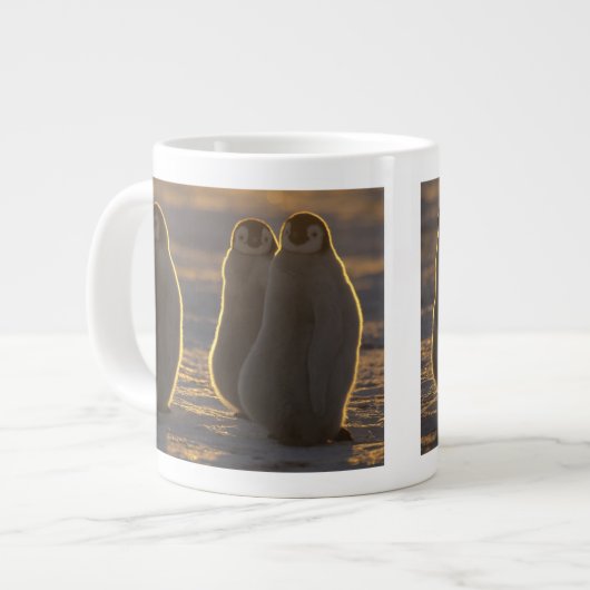 Keizerspinguïns Grote Koffiekop (Links)