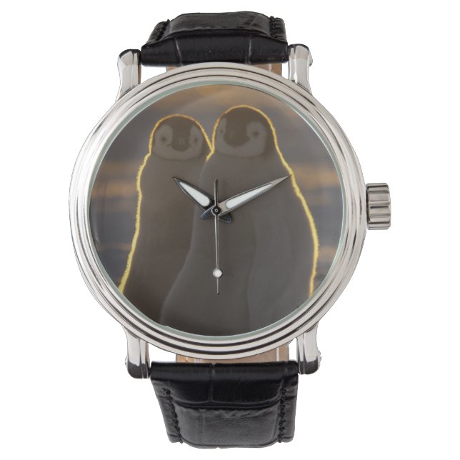 Keizerspinguïns Horloge (Voorkant)