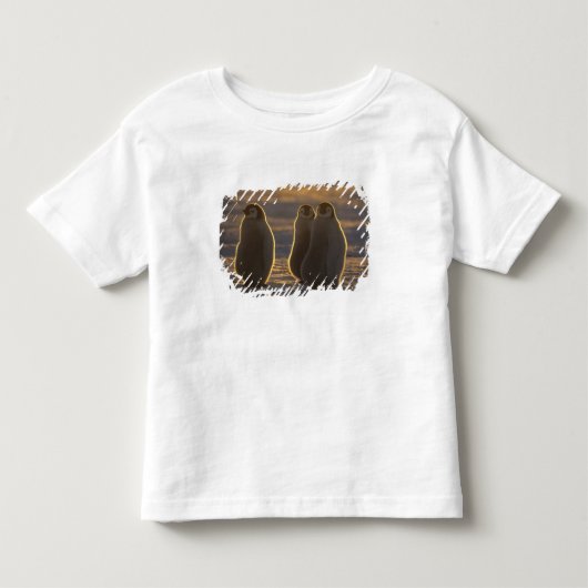 Keizerspinguïns Kinder Shirts (Voorkant)