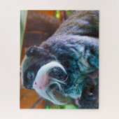 Keizertamarins Aap. Legpuzzel (Verticaal)