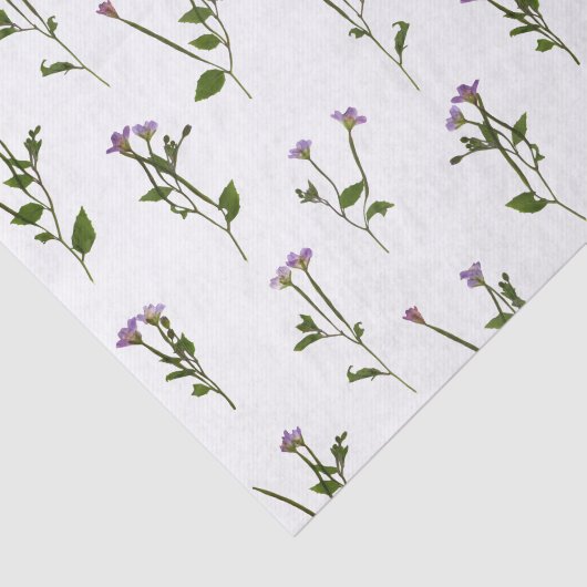 kekelkruid willowherb dense tissuepapier (Detail)