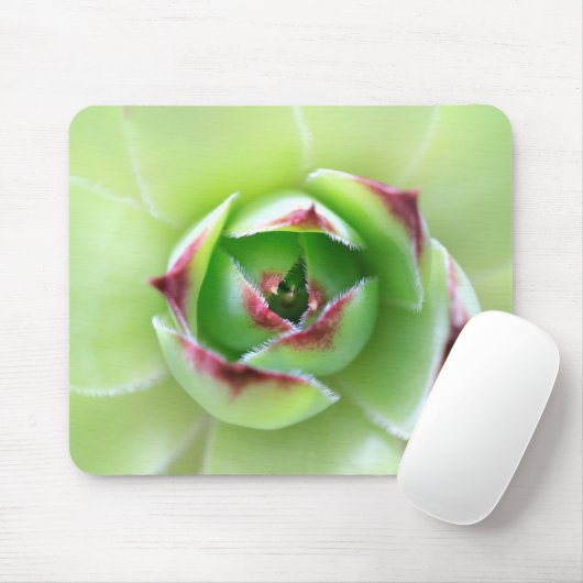 Kekker en kippen: prachtig, zacht groen Succulent Muismat (Met muis)