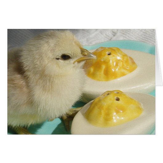 Kekuiken en eieren van varkens 2 (Voorkant Horizontaal)