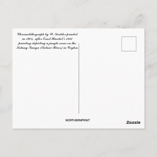 Kelany Ganga Ernst Haeckel Schilderij 1882 Briefkaart (Achterkant)