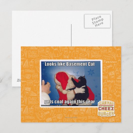 Kelder Kat krijgt steenkool Briefkaart (Voorkant / Achterkant)