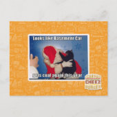 Kelder Kat krijgt steenkool Briefkaart (Voorkant)