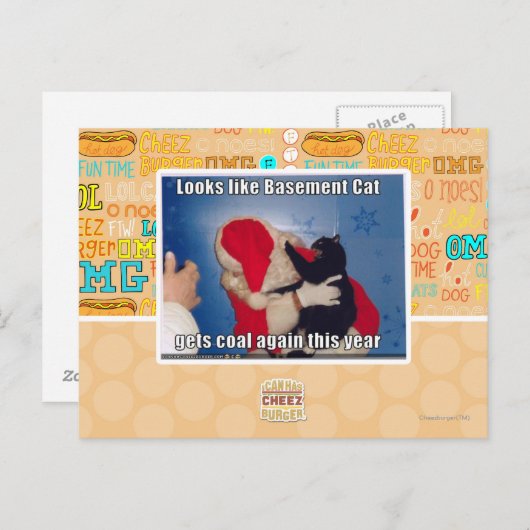 Kelder Kat krijgt steenkool Briefkaart (Voorkant / Achterkant)
