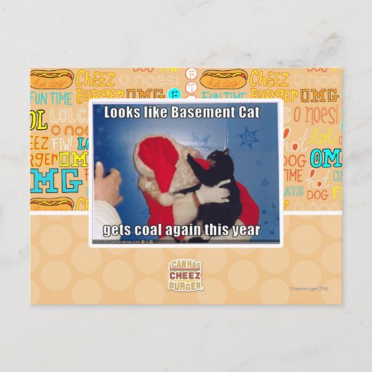 Kelder Kat krijgt steenkool Briefkaart (Voorkant)