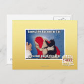 Kelder Kat krijgt steenkool Briefkaart (Voorkant / Achterkant)