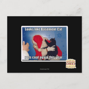 Kelder Kat krijgt steenkool Briefkaart