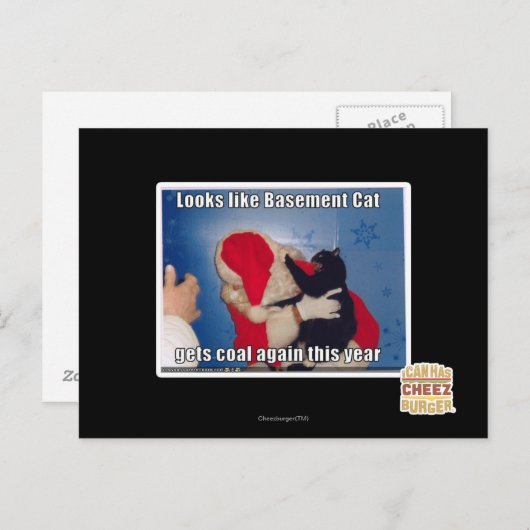 Kelder Kat krijgt steenkool Briefkaart (Voorkant / Achterkant)