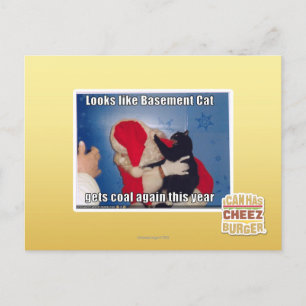 Kelder Kat krijgt steenkool Briefkaart