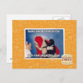 Kelder Kat krijgt steenkool Briefkaart (Voorkant / Achterkant)