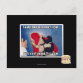 Kelder Kat krijgt steenkool Briefkaart (Voorkant)