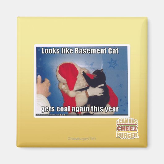 Kelder Kat krijgt steenkool Magneet (Voorkant)