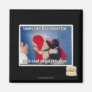 Kelder Kat krijgt steenkool Magneet