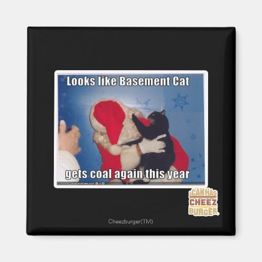 Kelder Kat krijgt steenkool Magneet (Voorkant)