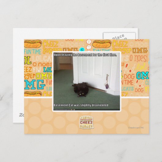 Kelder Kat, licht gedesoriënteerd Briefkaart (Voorkant / Achterkant)