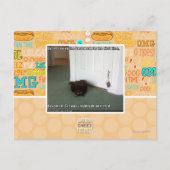 Kelder Kat, licht gedesoriënteerd Briefkaart (Voorkant)