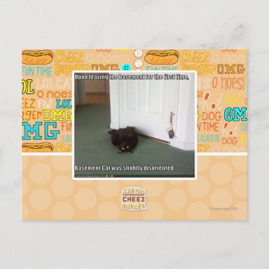 Kelder Kat, licht gedesoriënteerd Briefkaart (Voorkant)