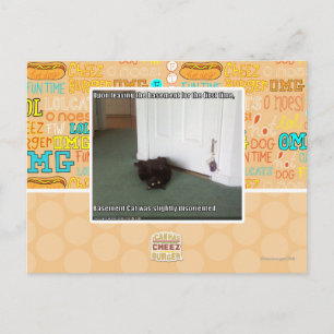 Kelder Kat, licht gedesoriënteerd Briefkaart