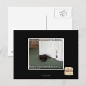 Kelder Kat, licht gedesoriënteerd Briefkaart (Voorkant / Achterkant)