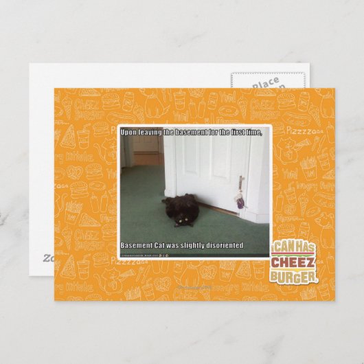 Kelder Kat, licht gedesoriënteerd Briefkaart (Voorkant / Achterkant)