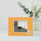 Kelder Kat, licht gedesoriënteerd Briefkaart (Staand voorkant)