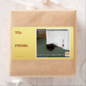 Kelder Kat, licht gedesoriënteerd Etiket (Insitu)