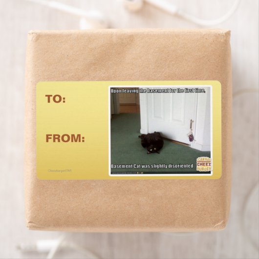 Kelder Kat, licht gedesoriënteerd Etiket (Insitu)