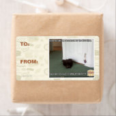 Kelder Kat, licht gedesoriënteerd Etiket (Insitu)