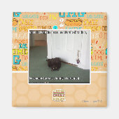 Kelder Kat, licht gedesoriënteerd Magneet (Voorkant)