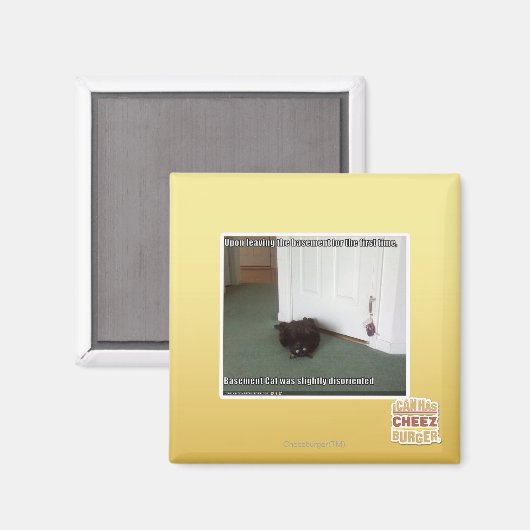 Kelder Kat, licht gedesoriënteerd Magneet (Voorkant / Achterkant)