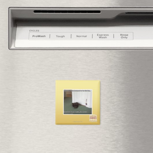 Kelder Kat, licht gedesoriënteerd Magneet (Insitu (Vaatwasser))