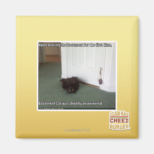 Kelder Kat, licht gedesoriënteerd Magneet