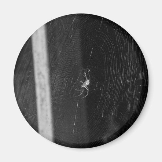 Kelderspin Magneet (Voorkant)