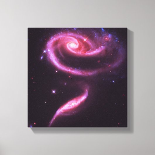 Kelestische roze roze bijlen canvas afdruk (Voorkant)