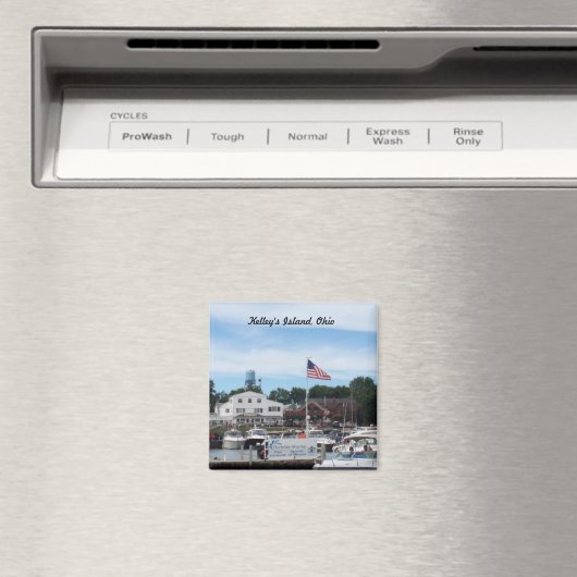 Kelley's Island Portside Marina Ohio Magnet (Insitu (Vaatwasser))