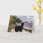 Kelly Boo in het Grand Canyon Wenskaart Kaart (Gele Bloem)