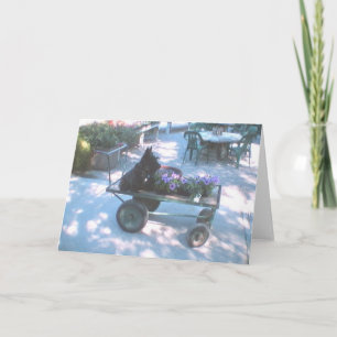 Kelly Boo op Flower Cart Wenskaart Kaart