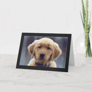 Kelly Golden Retriever Blank Wenskaart Kaart