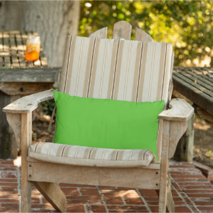 Kelly Green Outdoor Lumbar Pillow Buitenkussen